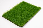 Thảm cỏ nhân tạo 2cm Thảm cỏ sân vườn 2cm Bảng giá thảm cỏ 2cm