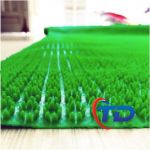 Thảm nhựa gai hoa cúc Thảm nhựa gai cúc chống trơn trượt gái rẻ