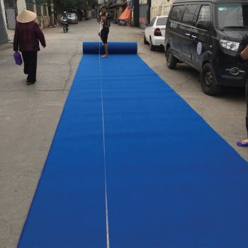 Thảm nỉ màu xanh dương