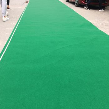 Thảm nỉ màu xanh lá cây