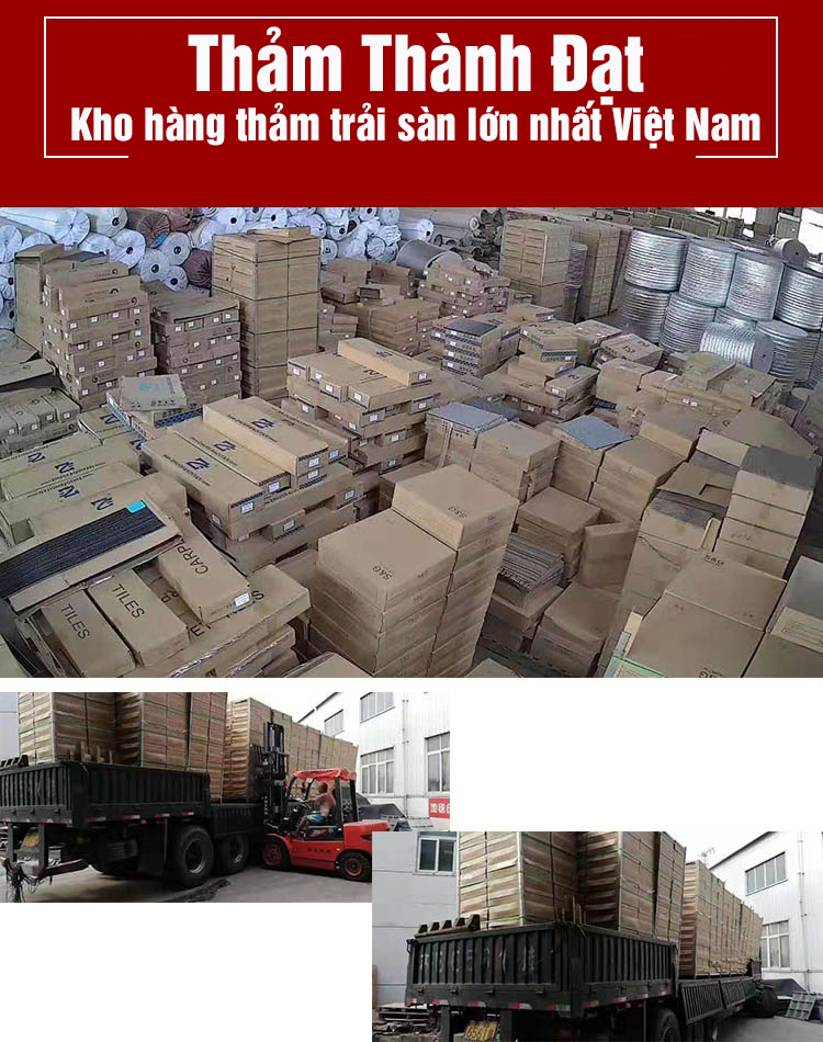 Thảm Manchester MA05 Thảm tấm Manchester Thảm văn phòng Manchester