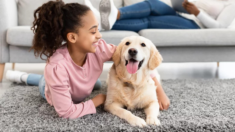 Thảm trải sàn thường ảnh hưởng lớn đến diện mạo ngôi nhà và cũng có chi phí khá cao, do đó bạn không nên vội vàng đưa ra quyết định.